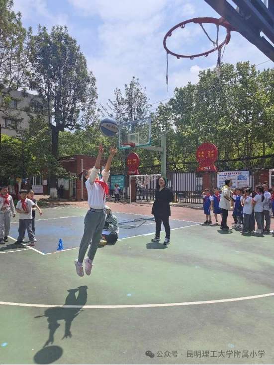 如何根据体型制定个性化的篮球训练方案_2
