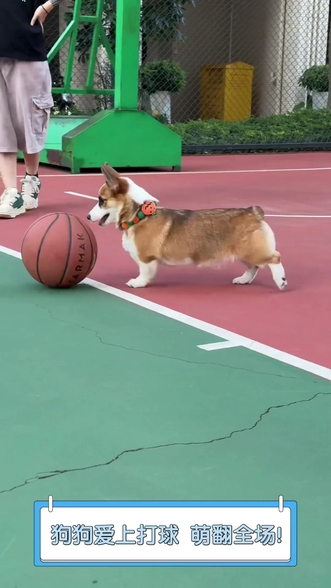 为什么传统篮球训练能帮助球员打好基础_0